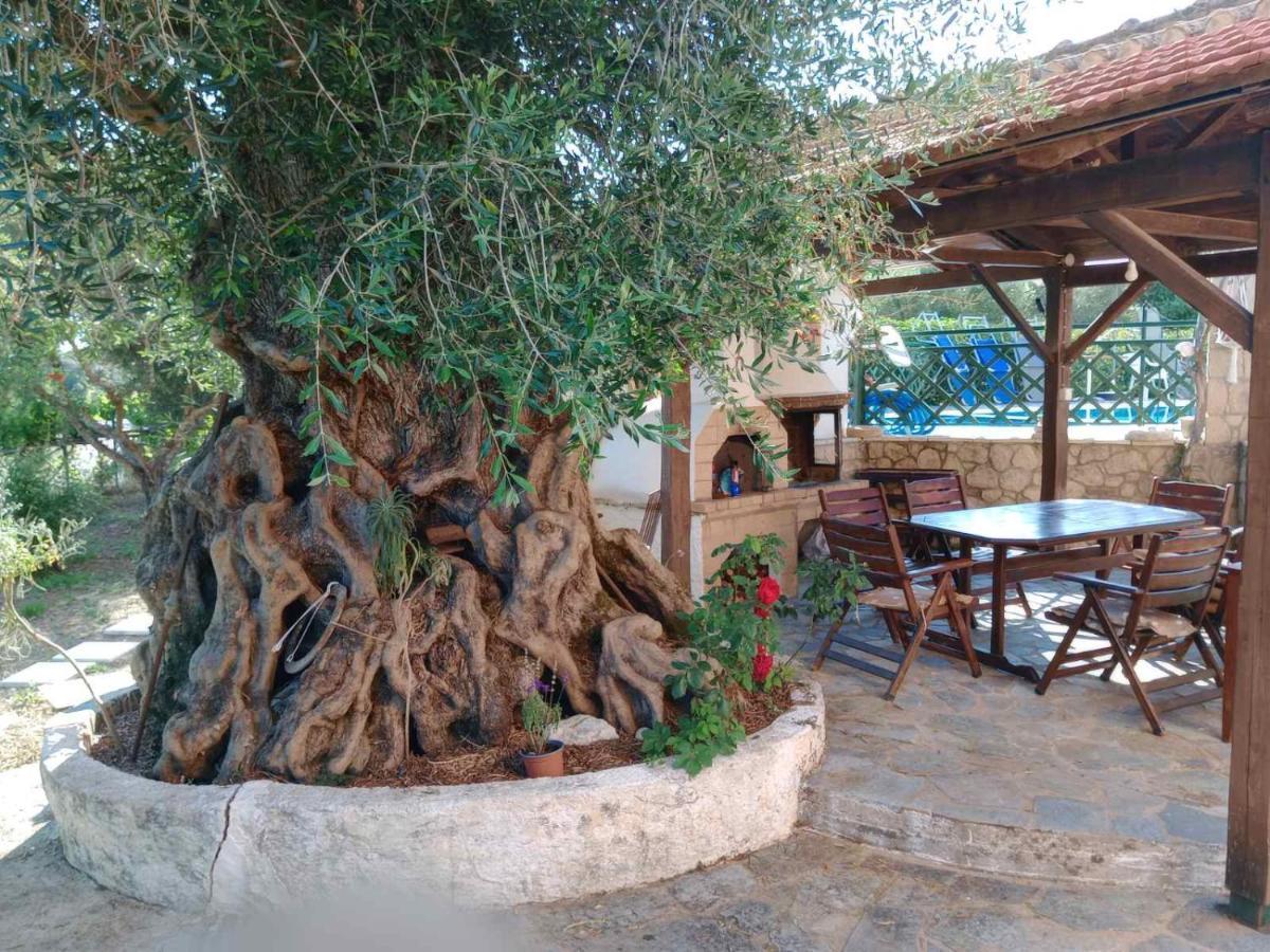 Pool Villa Grigoris Aspiotades Zewnętrze zdjęcie